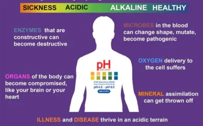 How to check your pH for an Alkaline Body and Optimum Health